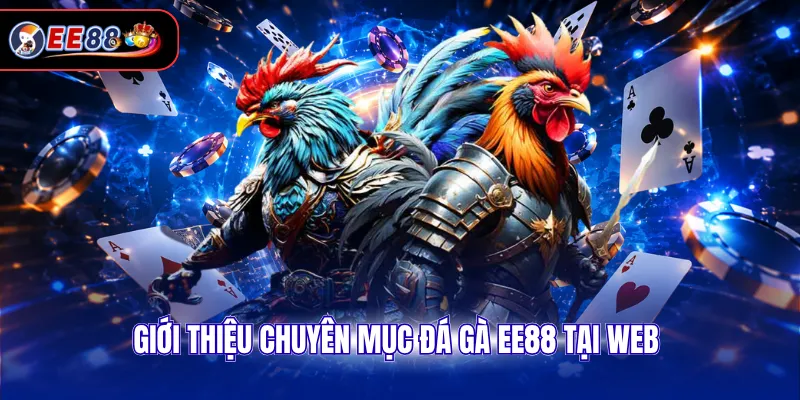 Giới thiệu chuyên mục đá gà EE88 tại web