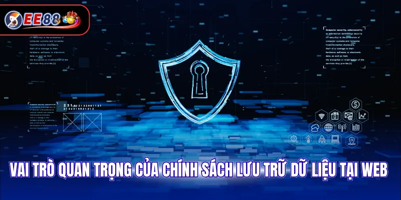 Vai trò quan trọng của chính sách lưu trữ dữ liệu tại web